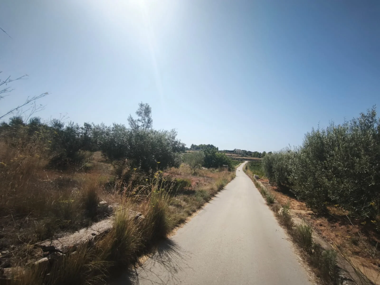 Parcela agraria en Benissa con vistas