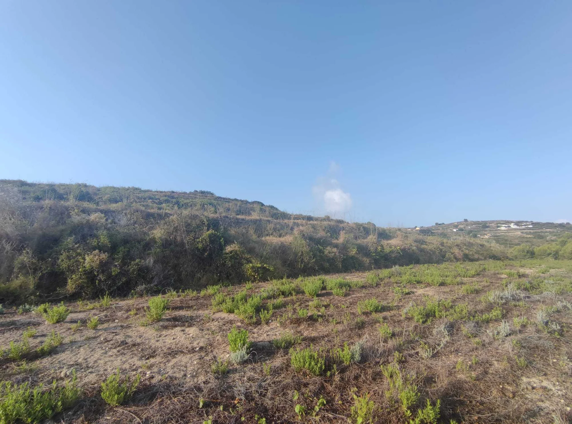 Parcela rústica en Teulada, 19.000 m²