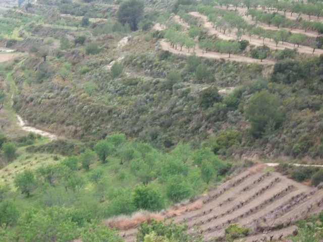 Large Benissa plot, 14,000 m²