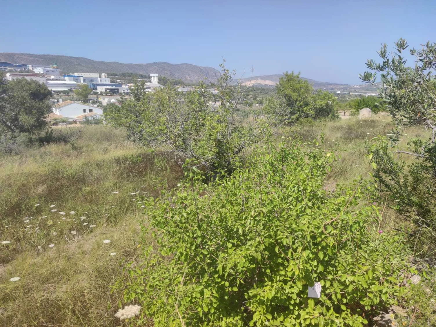 Parcela en Benissa de 10.000 m²