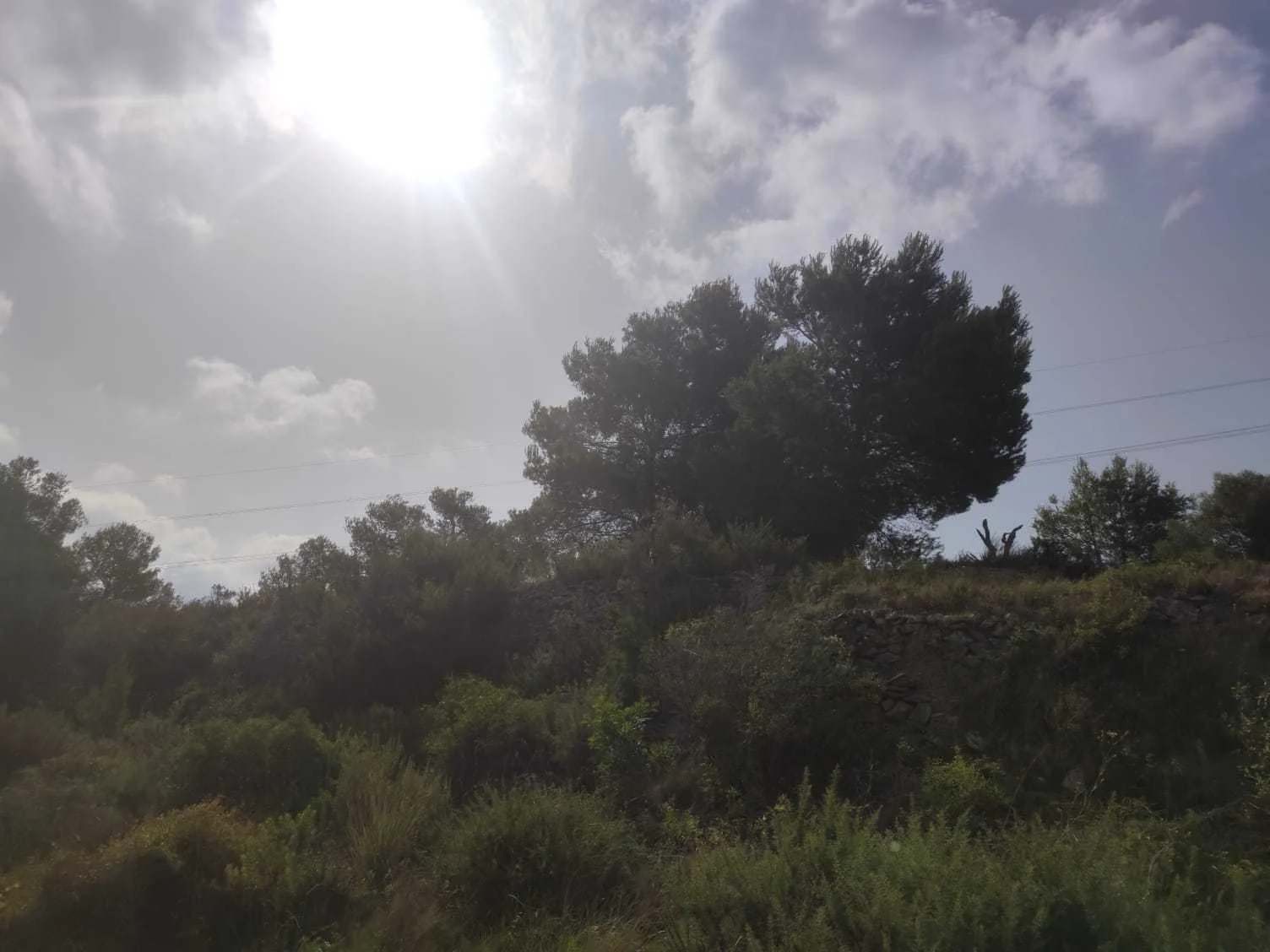 Parcela rústica en Benissa de 11.836 m²