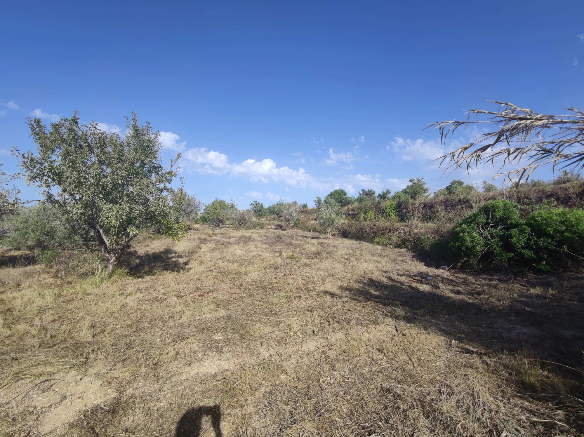 Benissa plot with 360-degree tour