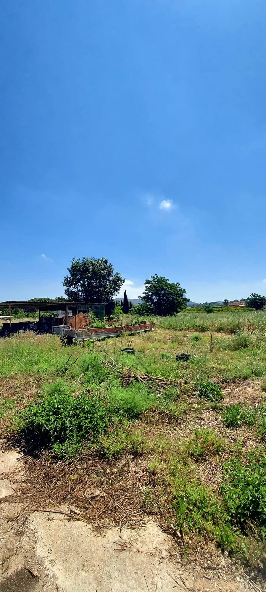 Rural plot near Ondara, 5,237 m²