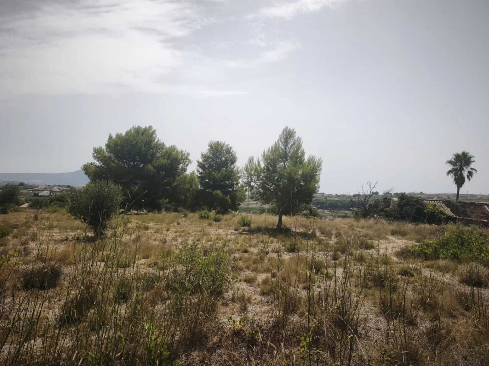 Teulada plot with 2% buildability