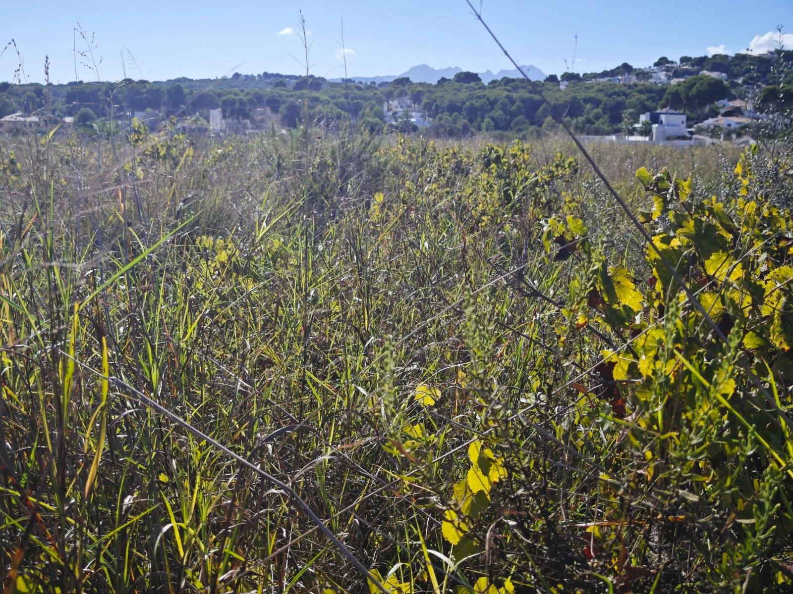 Teulada plot with 415 m²