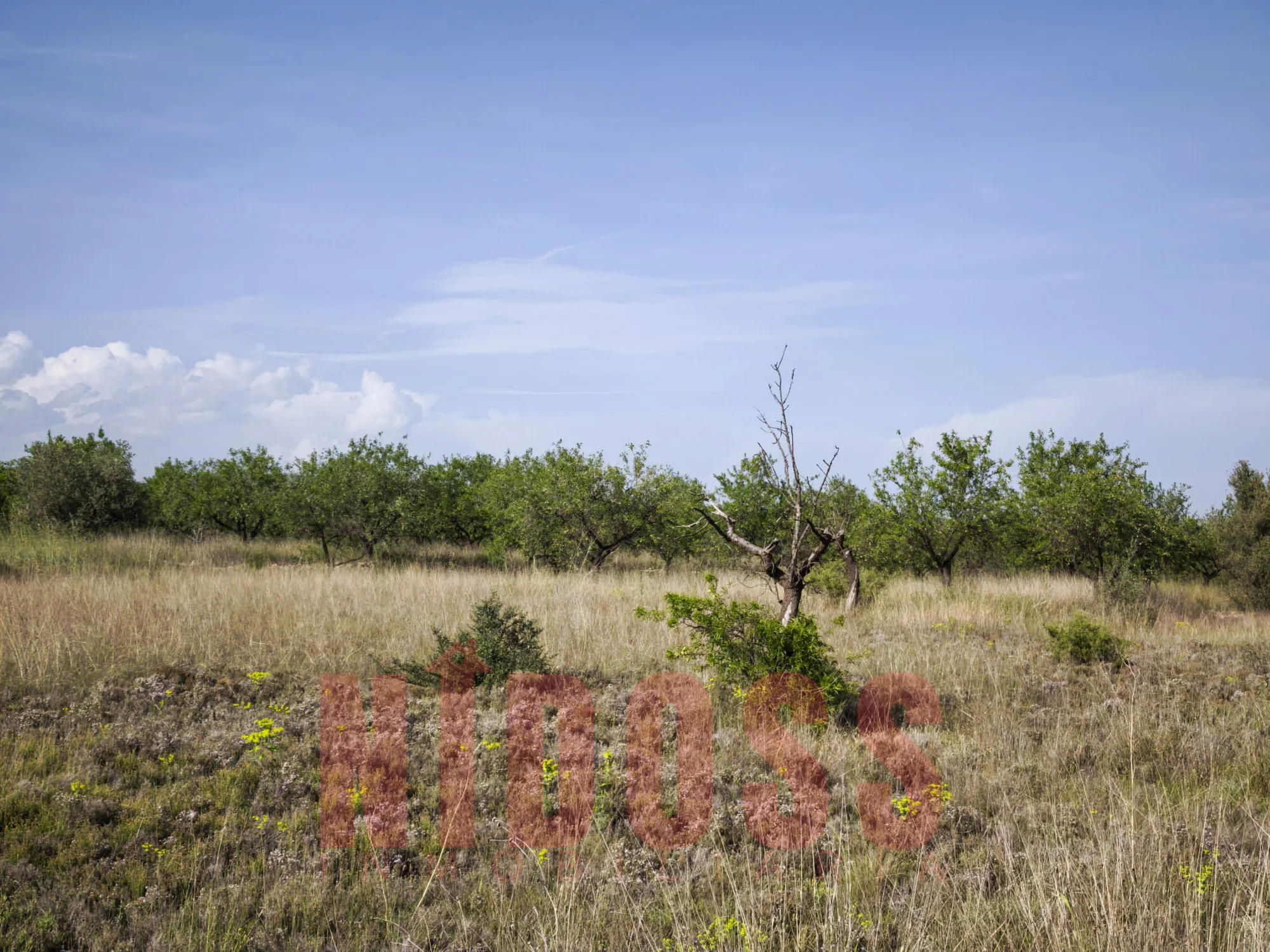 Parcela rústica cerca de Higueruelas, 9.830 m²