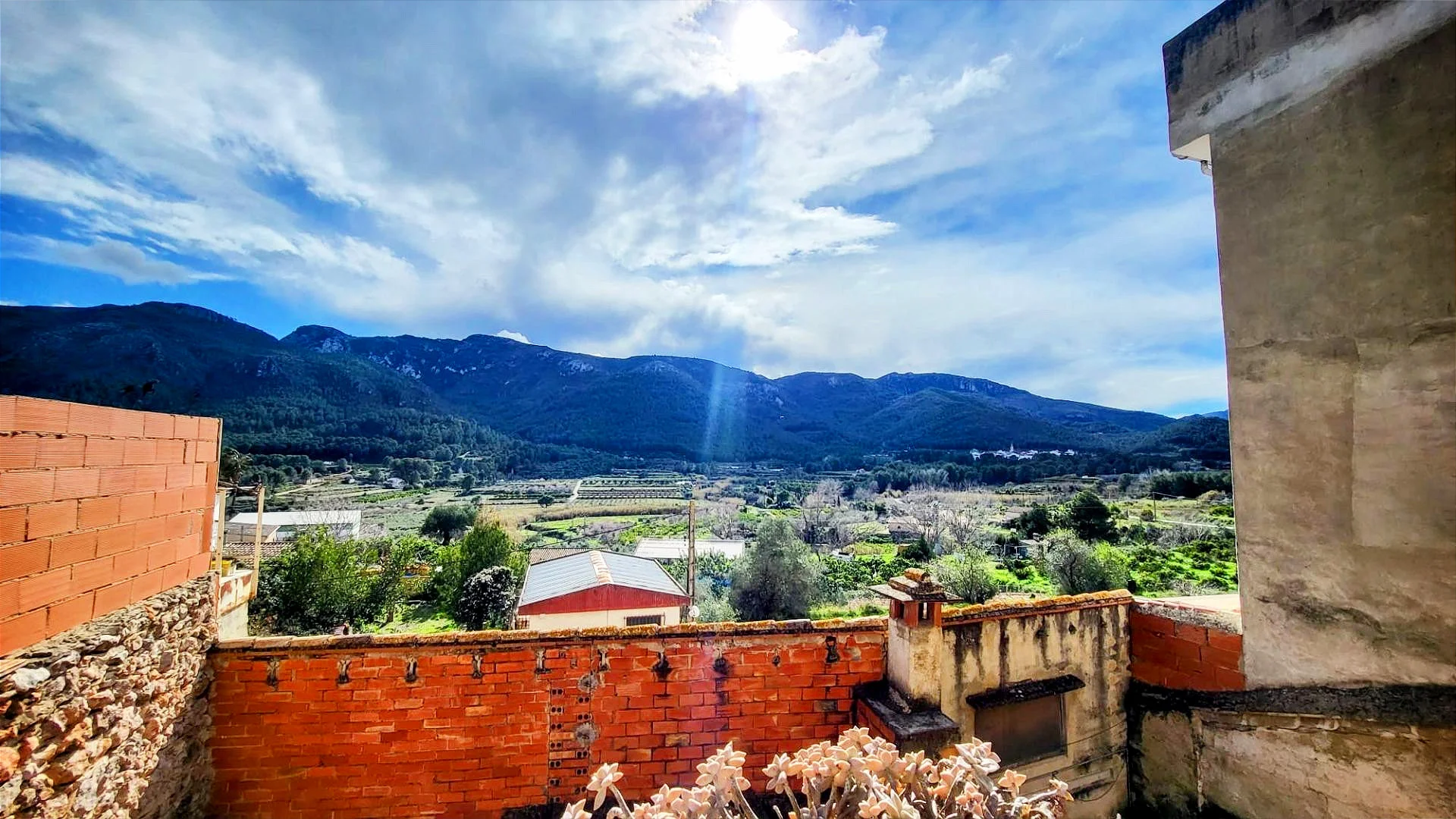 Spacious village house with business premises