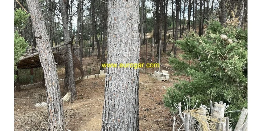 Parcela esquinera en Chiva, 1.278 m²