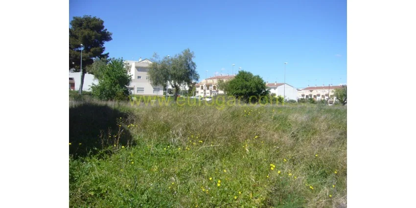 Parcela de 1.123 m² en La Murta