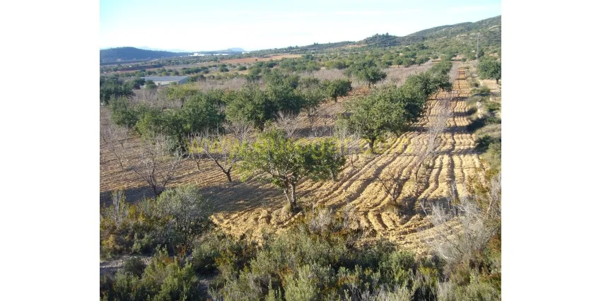 Terreno rústico en Blanquizar, 27.964 m²