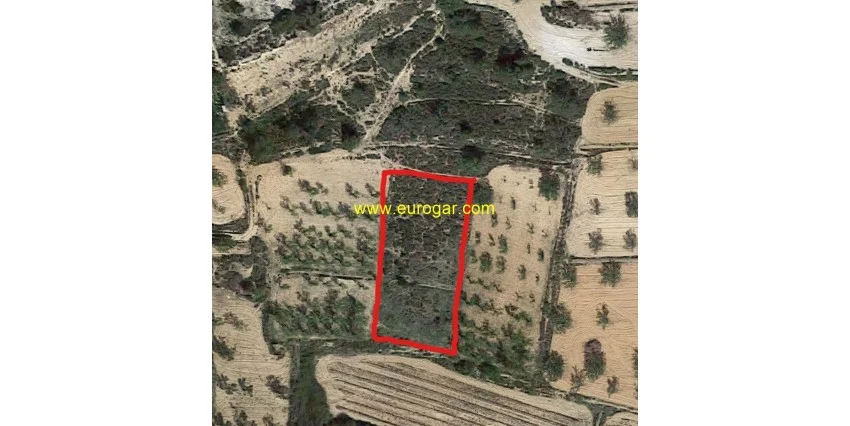 Rural plot in Chiva, 1,639 m²
