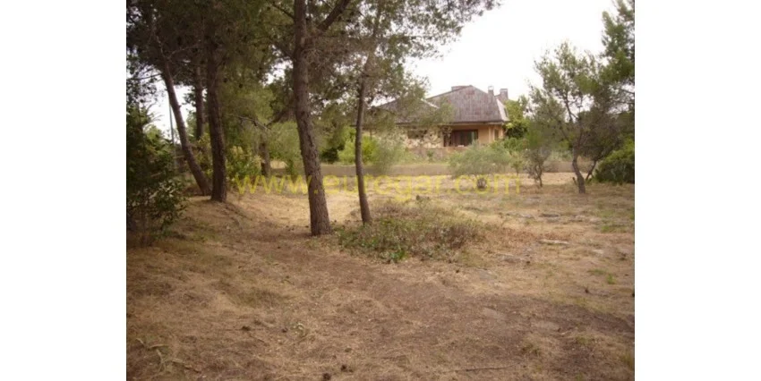 1,000 m² urban plot, El Bosque