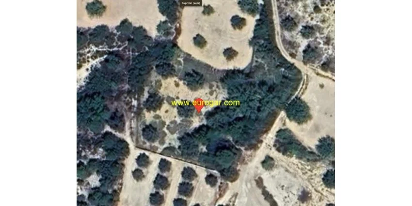 Lote de cuatro parcelas en Chiva
