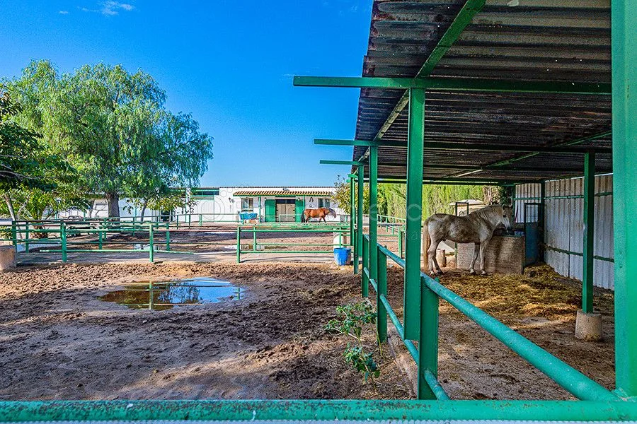 Beachside farm house with equestrian facilities