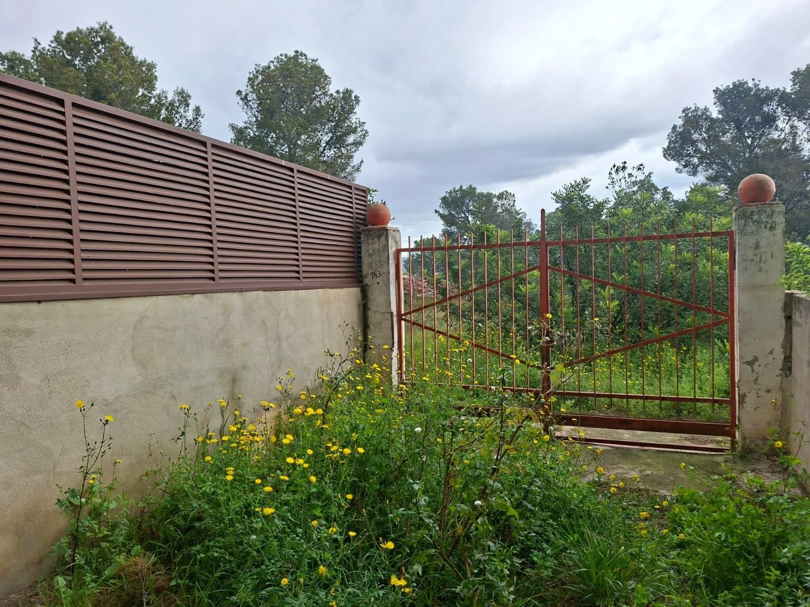 Parcela no edificable cerca del centro de Bétera