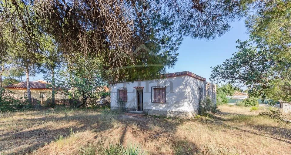Chalet para reformar junto al Parque de San Vicente