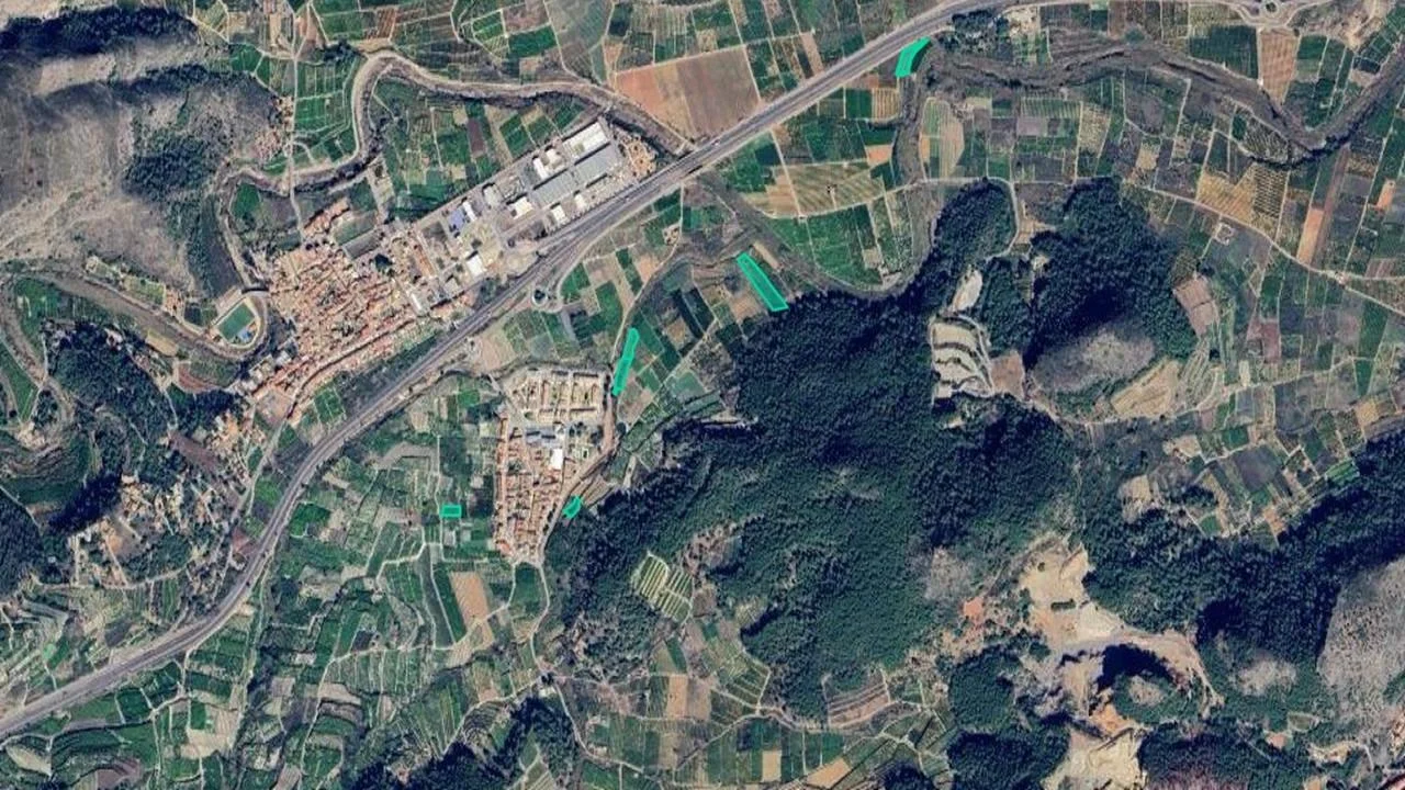 Rural plot in Alfauir, 18,306 m²