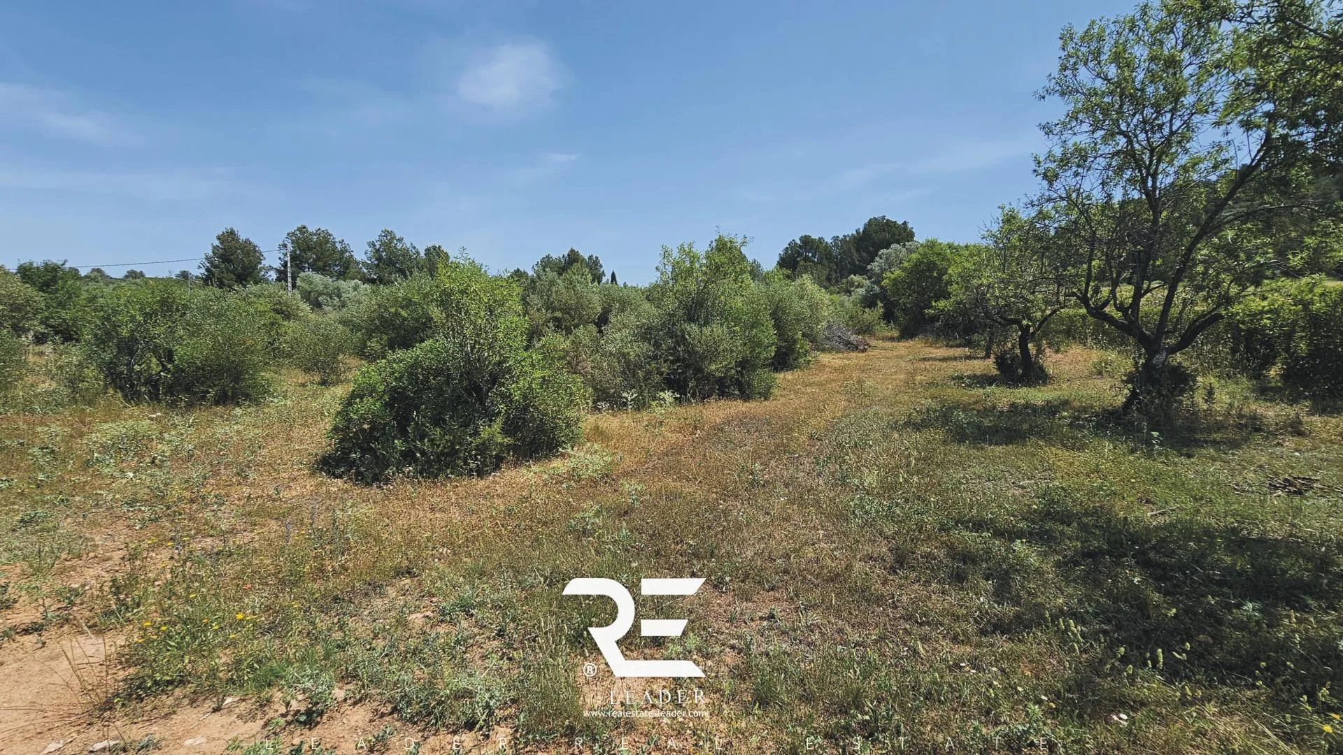 Gran terreno agrupado cerca de Vall d’Alba