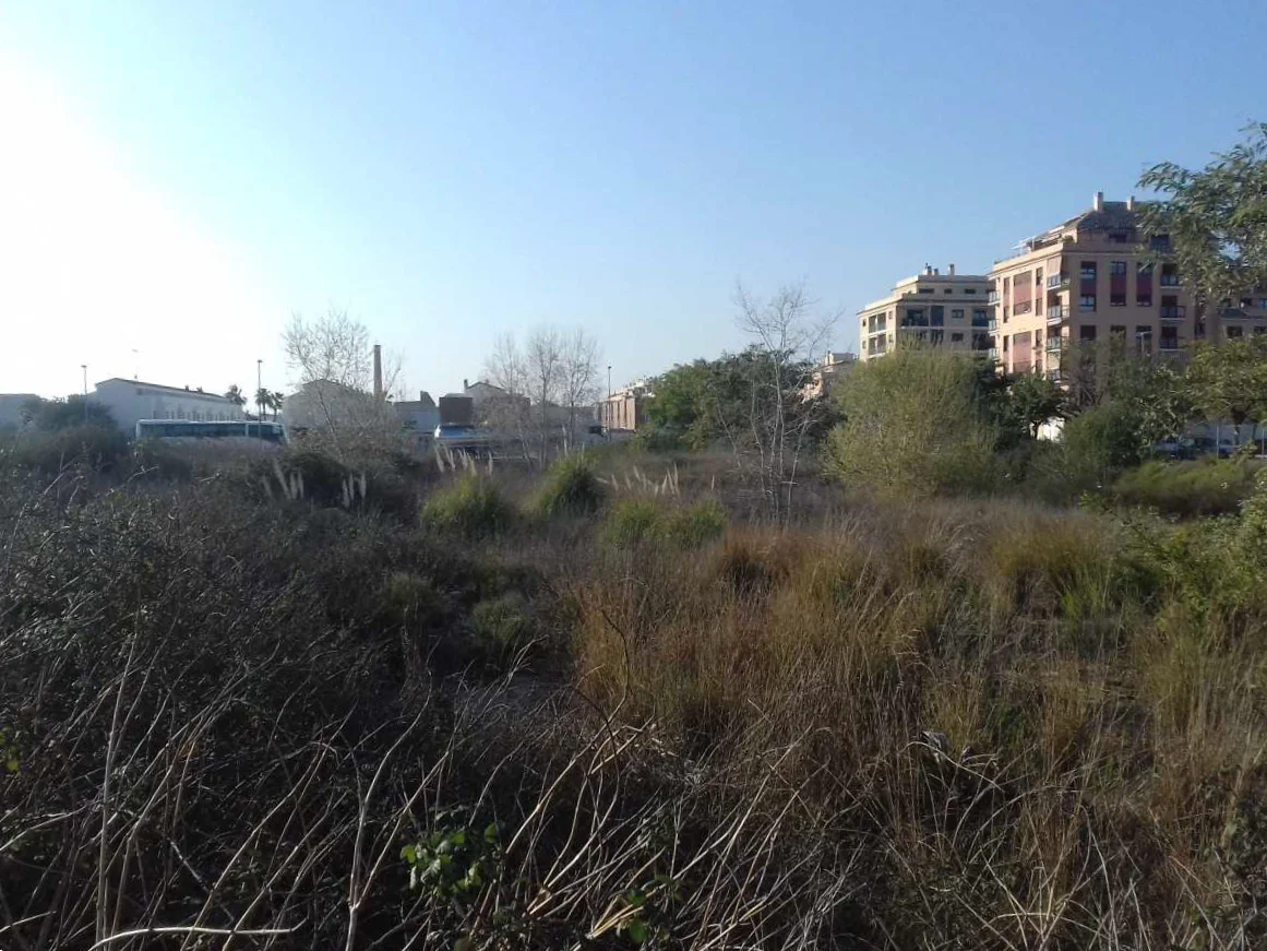 Urban residential plot in Carcaixent
