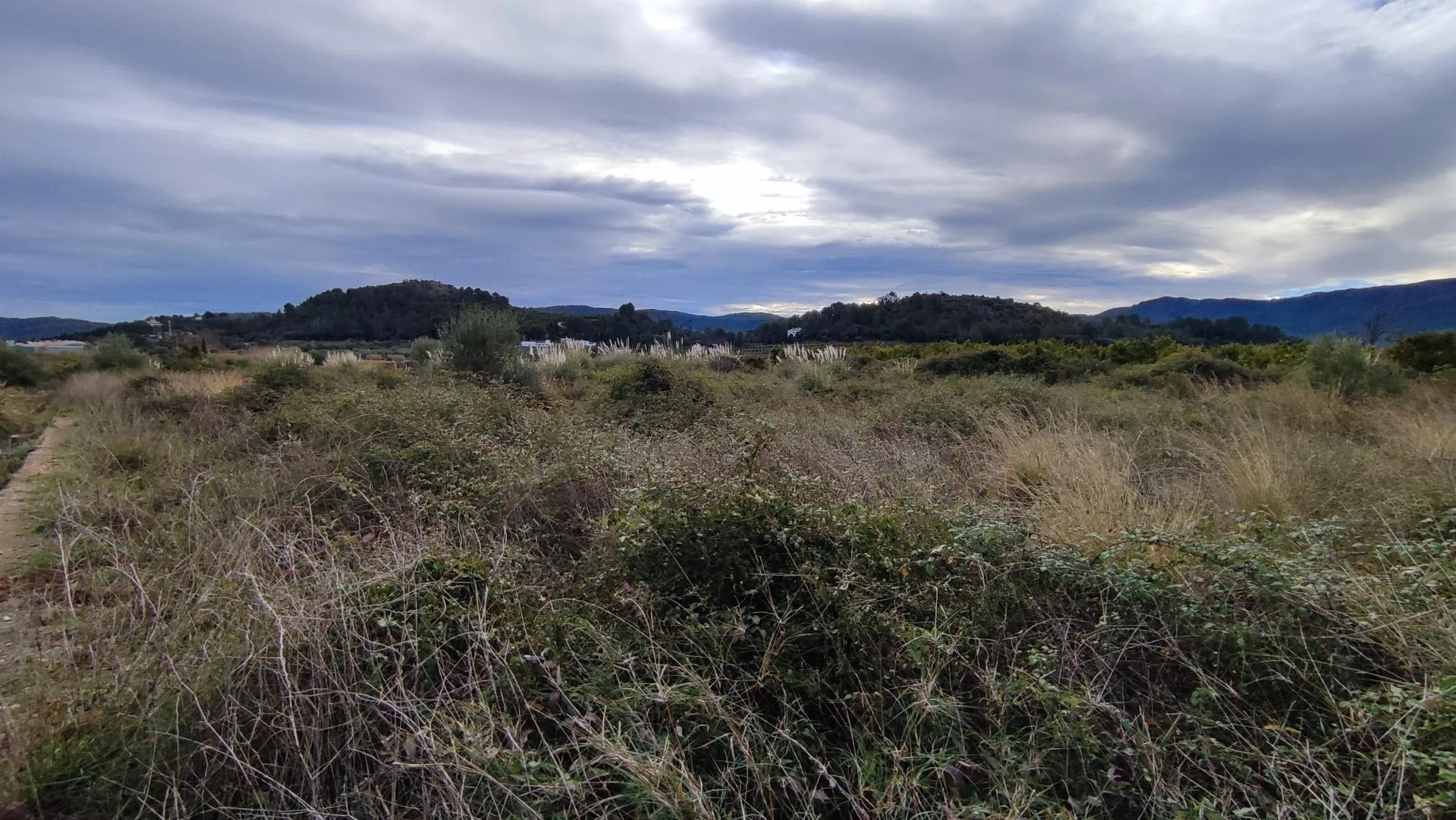 Rural plot in Ador, 4,150 m²