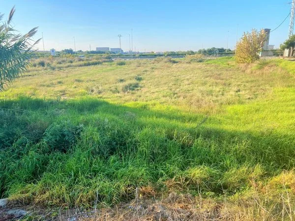 Square agricultural plot near Massalfassar