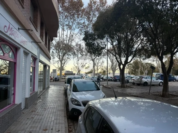 Local comercial visible en Oliva