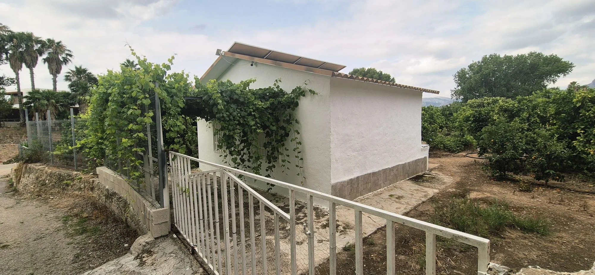 Finca agrícola cerca de Gandia con naranjos