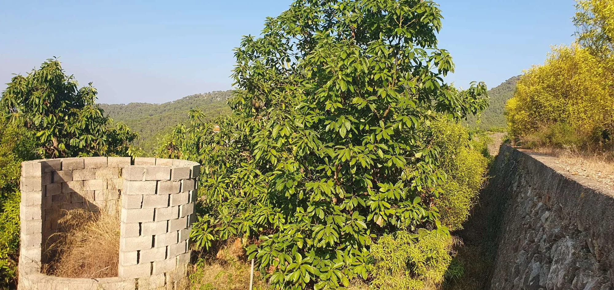 Terreno rural cerca de Cullera con riego