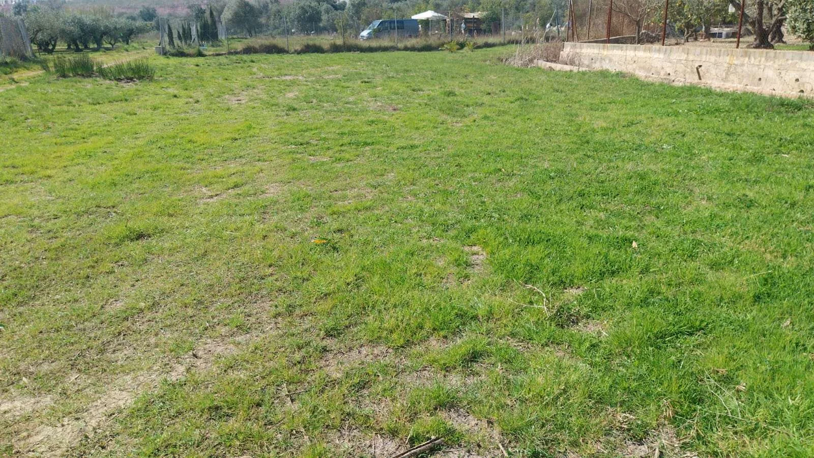 Parcela rústica cerca de Barx, 1300 m²