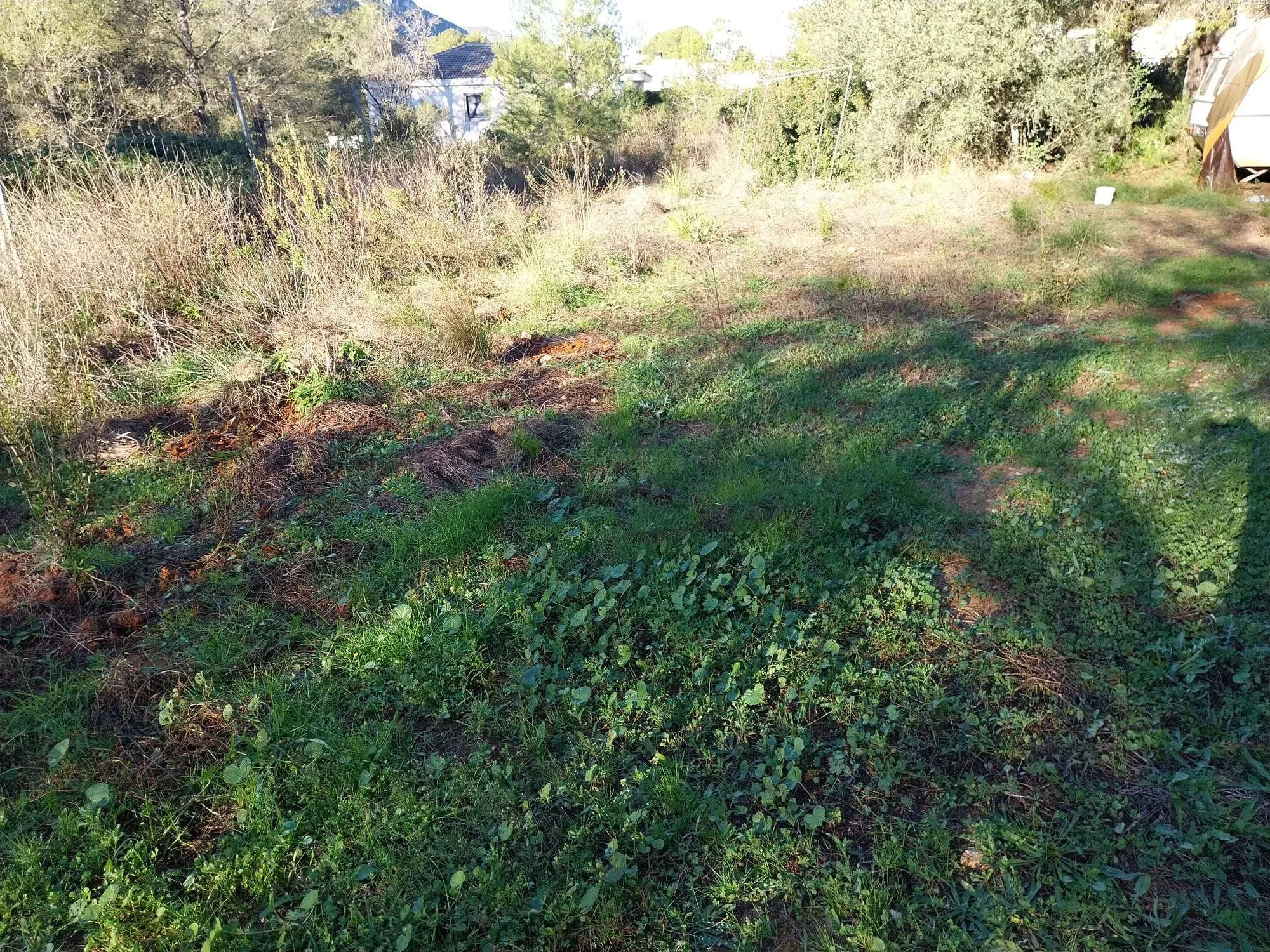 Urban plot near La Drova trails