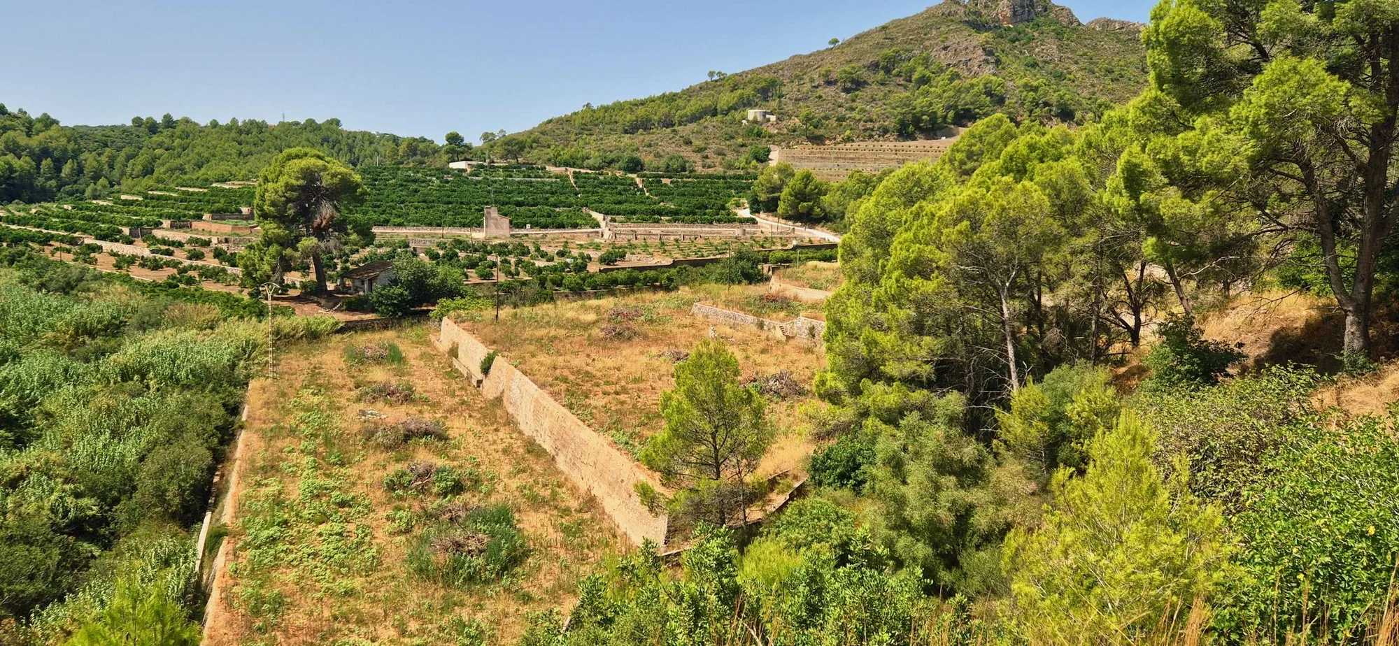 Rural plot near Almiserá, 15,700 m²