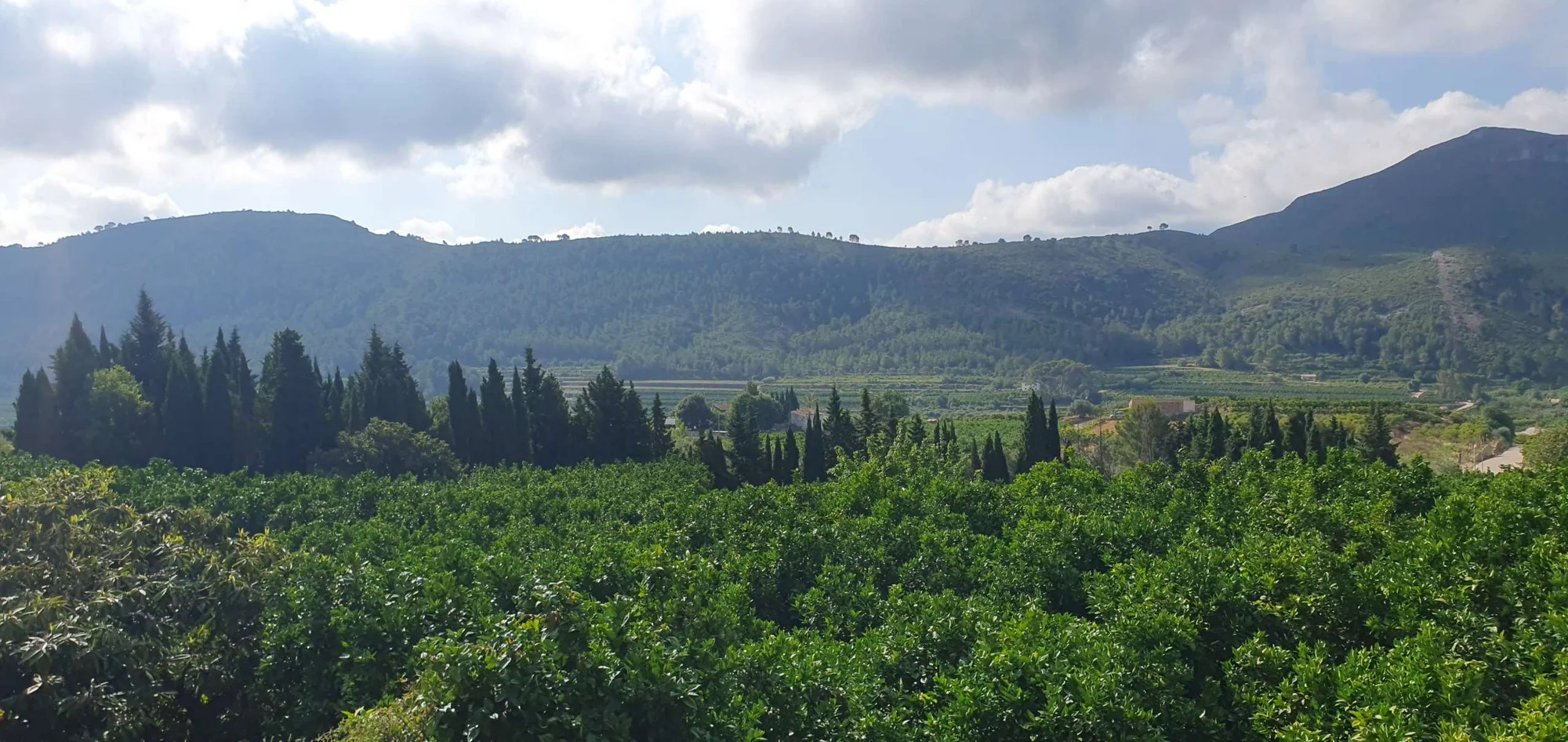 Rural plot near Gandia with views