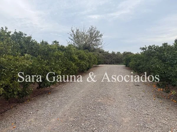 Large Almardá land near coast