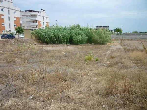 Urban plot near beach, 761 m²