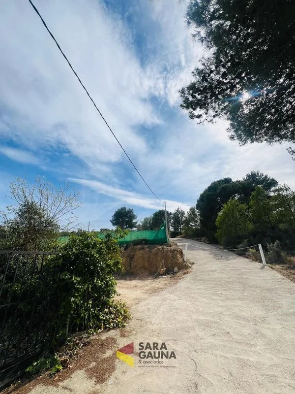 Rural plot with avocado planting