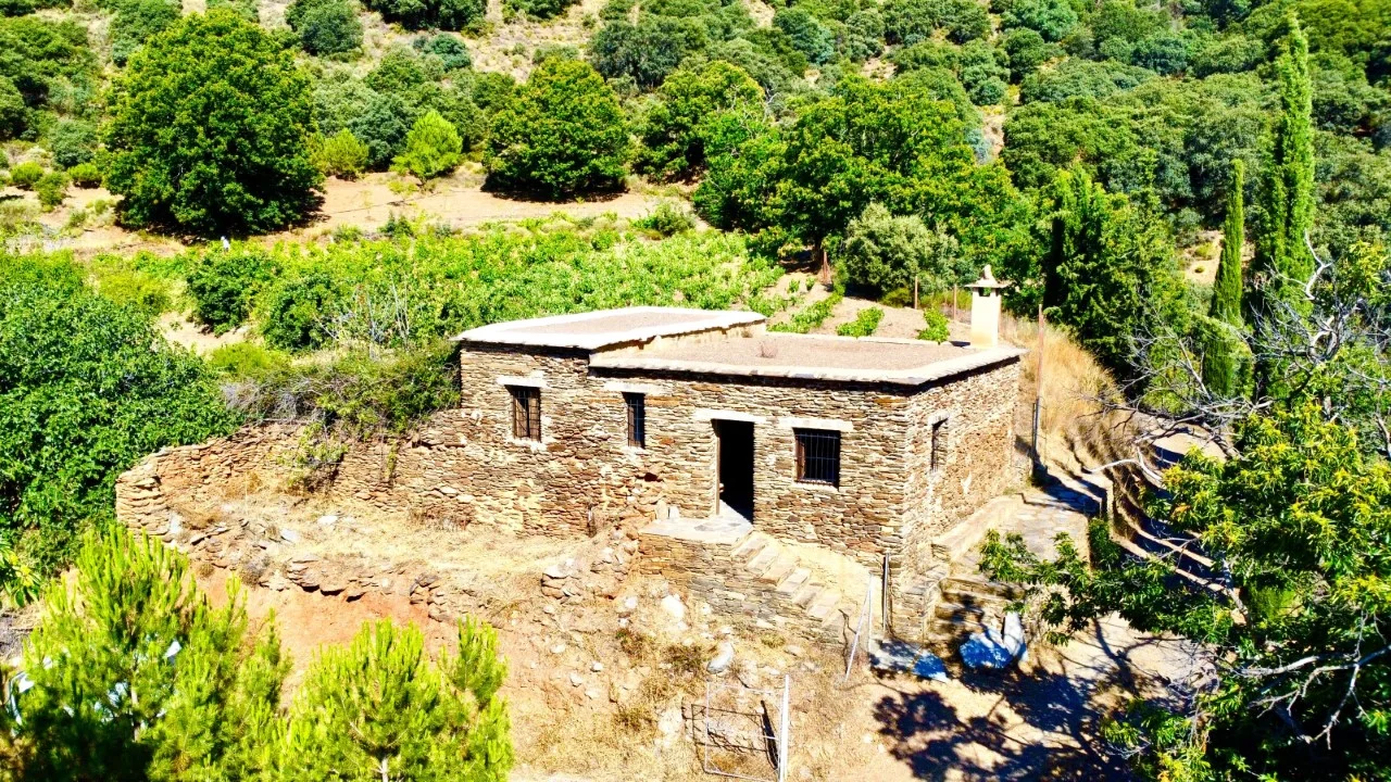 Finca rural productiva con cortijo y agua