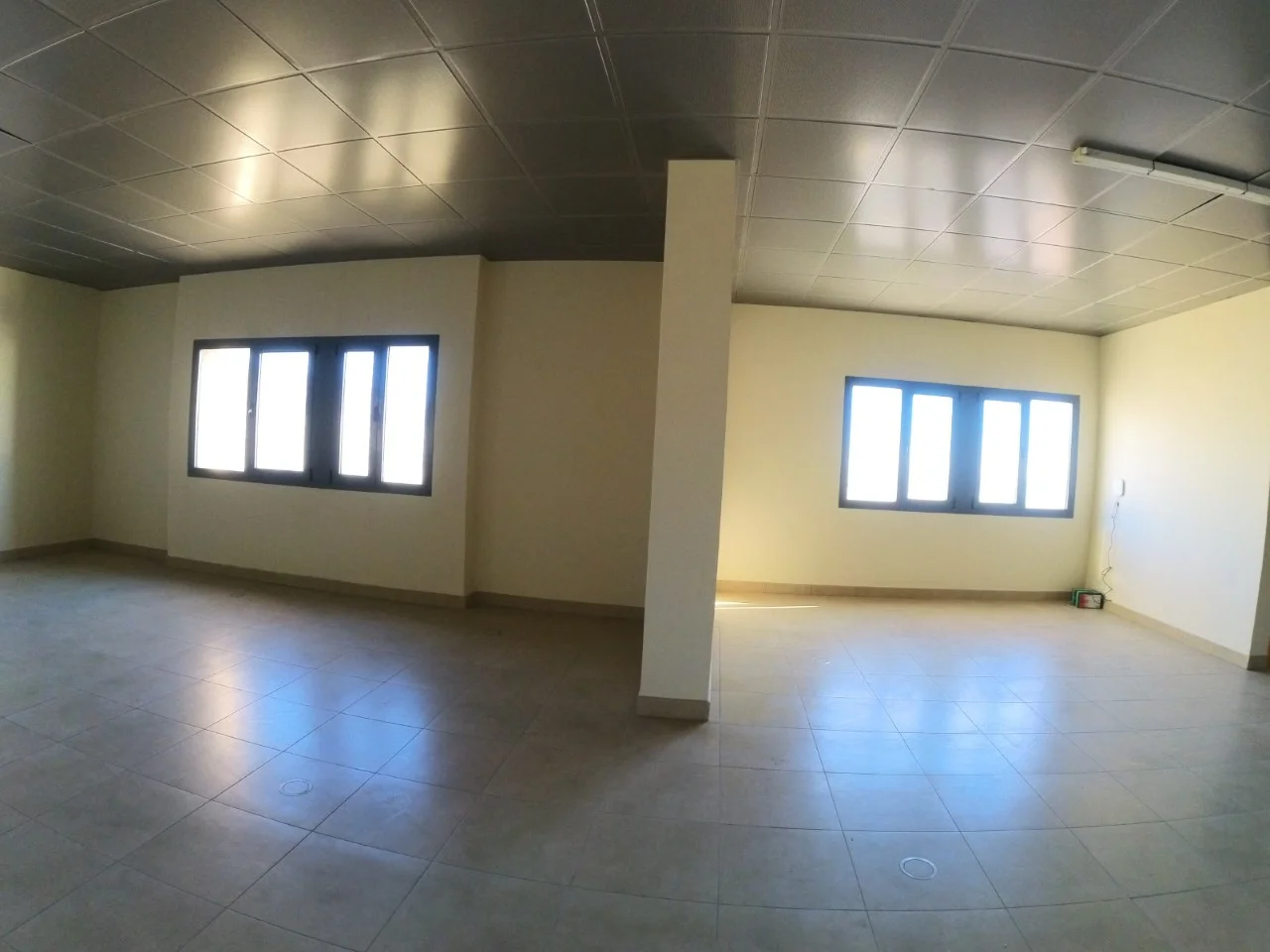 New El Ejido office, 145 m²