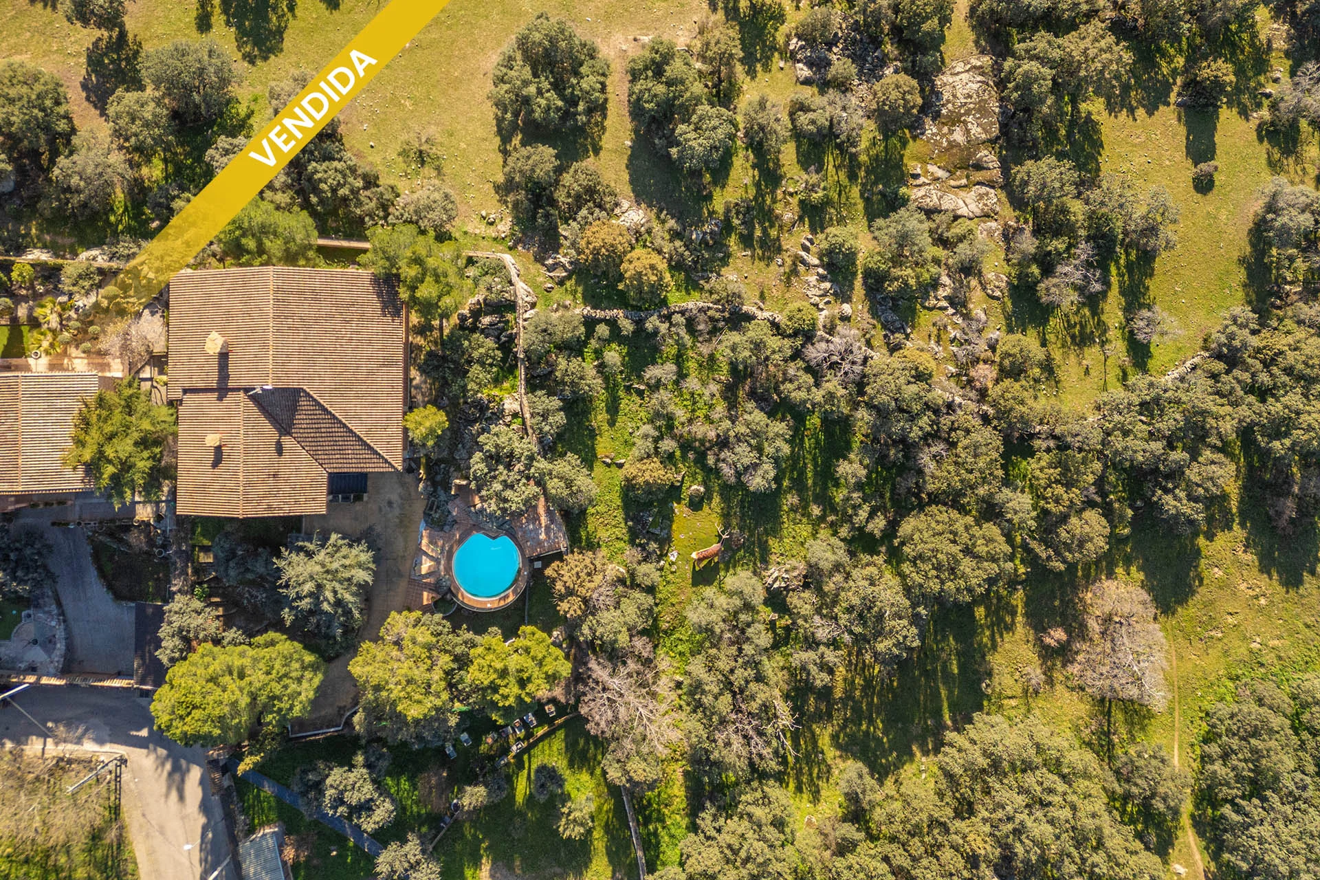 Luxury chalet near Sierra, 6 bedrooms
