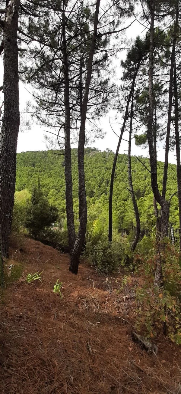 Solar urbano en La Atalaya, 670 m²