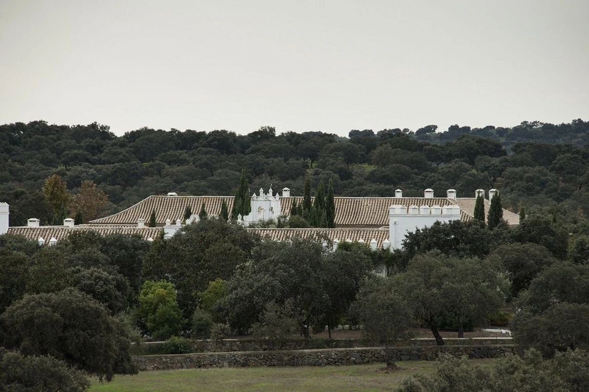 Finca ganadera andaluza de 1.000 hectáreas