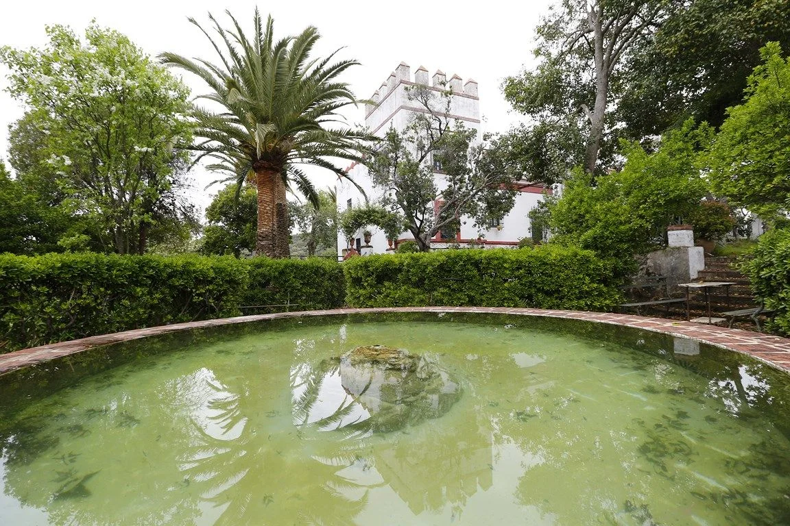 Finca ganadera de 328 hectáreas cerca de Sevilla
