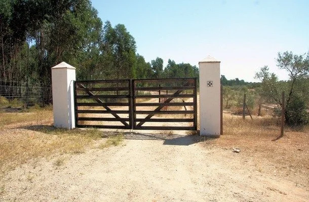Finca de olivos cerca de Doñana con gran extensión