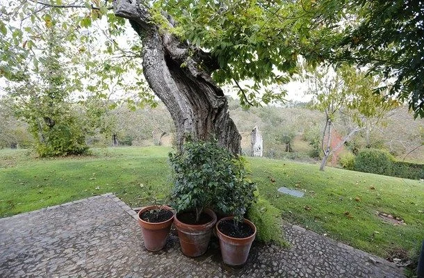Casa rural andaluza de 4 dormitorios