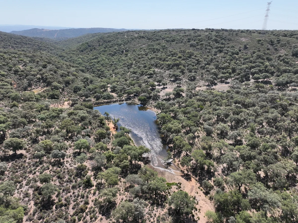Gran finca cinegética con alcornocal