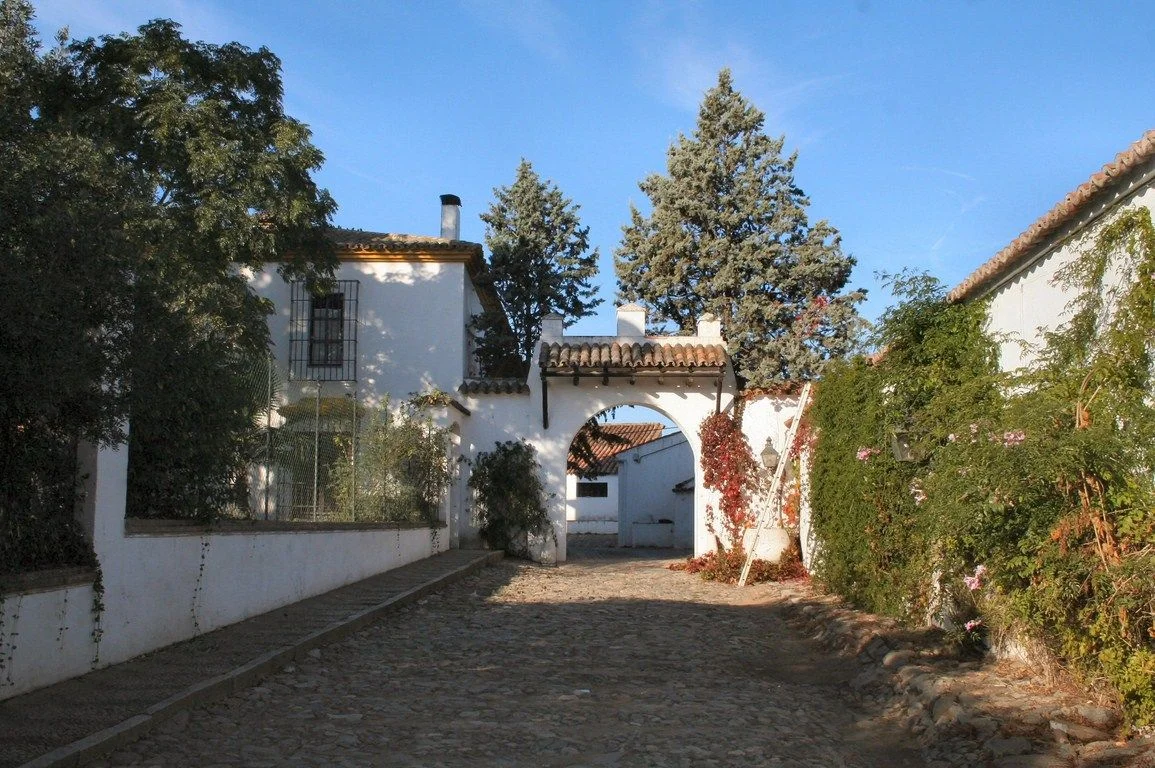 Finca dehesa renovada de 8 dormitorios