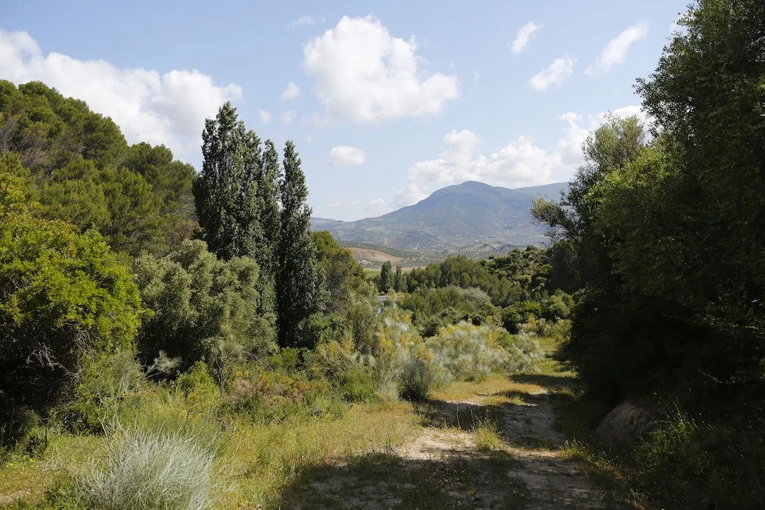Finca ganadera ecológica de 700 hectáreas