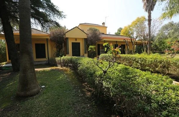 Spacious Seville house, five bedrooms