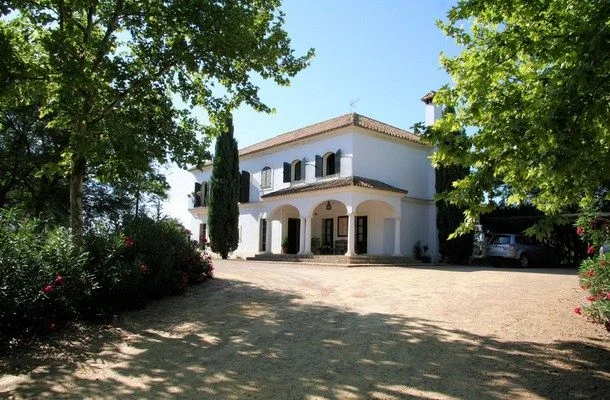 Large Seville-area house with orchard