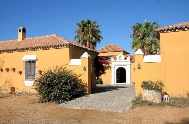 New cortijo with olive grove, Seville