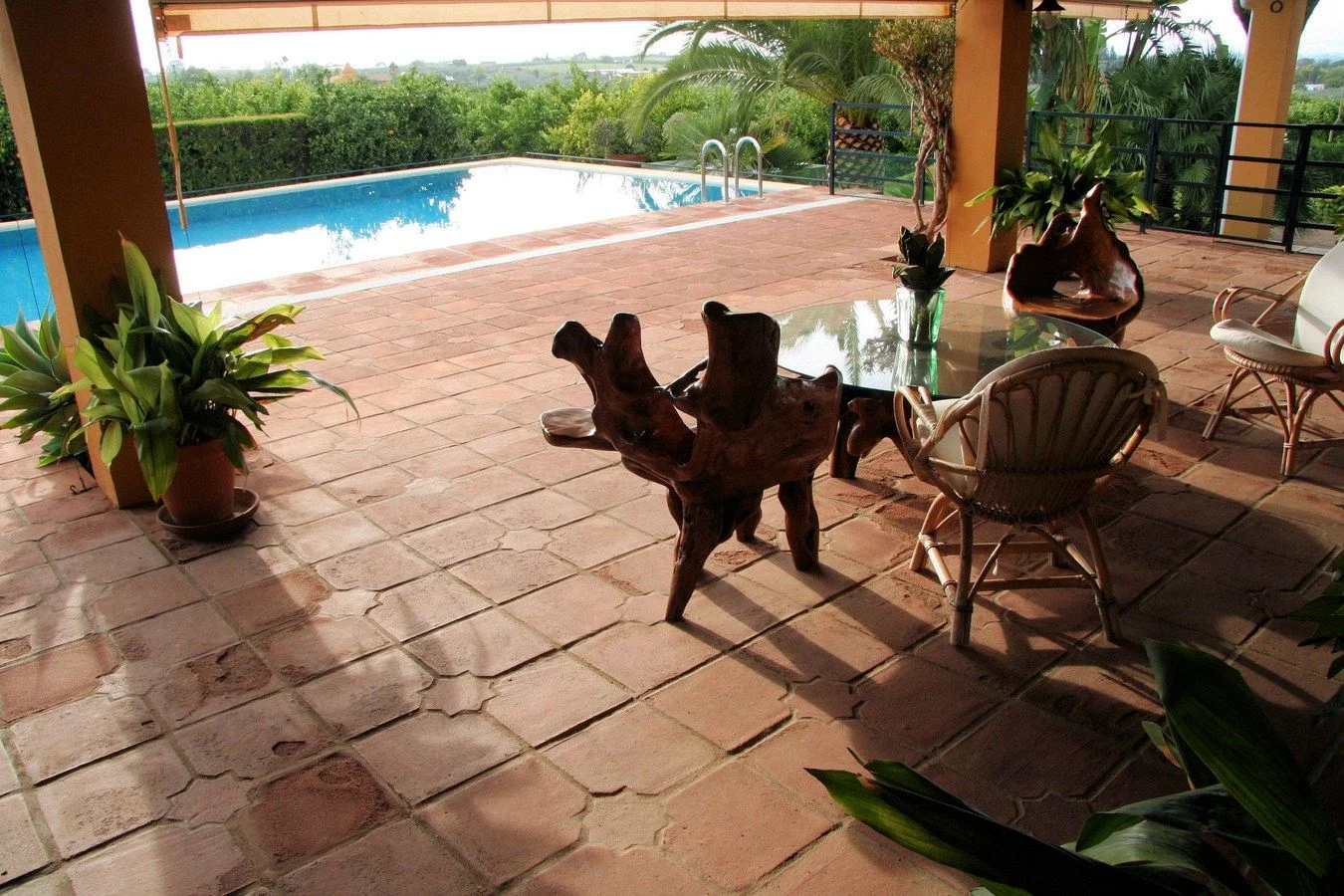 Orange farm with 350 m² house